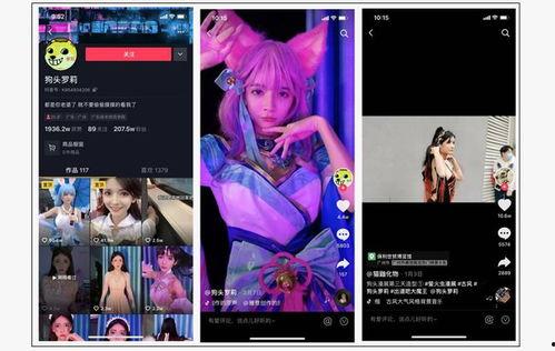 视频爆料会,事件背后惊人真相