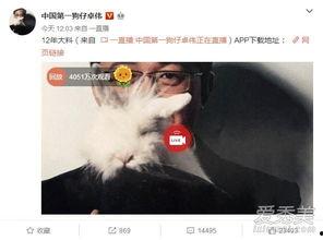 贴吧爆料出轨事件视频,贴吧爆料事件引发热议  第3张
